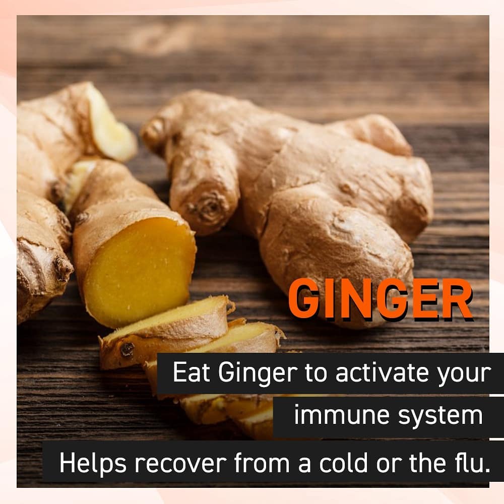 #HealthyTips - Do you know the saying, a ginger shot a day keeps the doctor away? Ginger helps the immune system perform optimally by boosting it.
.
.
Contact us for queries on: 9099433422/07940040991
www.pilatesaltitude.com .
.
.
.
. 
#Pilates #PilatesCommunity #Fitness #Stretch #WorkOut #ThePilatesStudio  #FitnessMotivation #InstaFit #FitnessStudio #Fitspo 
#ThePilatesStudio #Strength #pilates #Workout #WorkoutMotivation #fitness  #india #igers #insta #fitnessjourney #beingfit #healthylifestyle #fitnessfreak #celebrity #bollywood #celebritytrainer #healthy