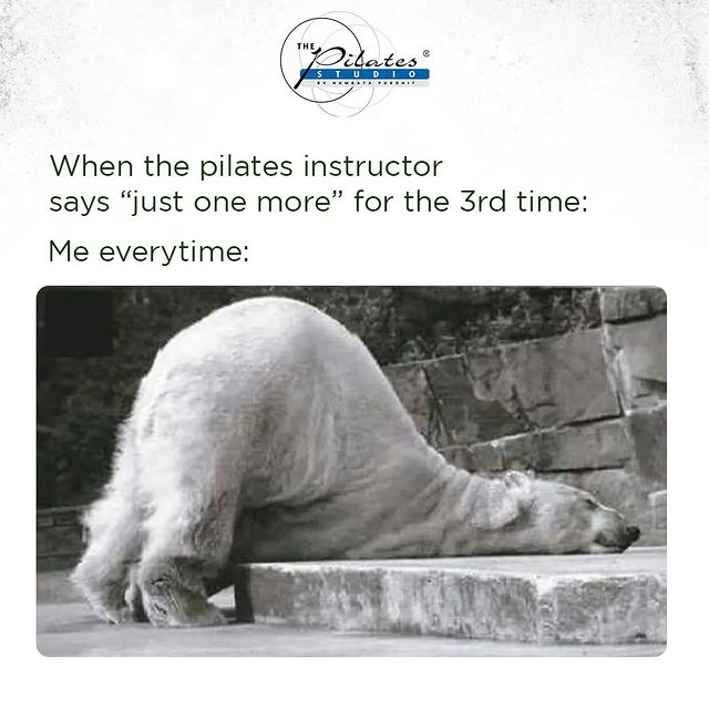 Agree?!? Yay or nay!! 🤪 
Share this post and tag us / comment below if this is relatable 🤭 💪🏻
.
.
.
Dm us for details
www.pilatesaltitude.com
.
.
.
#Pilates #PilatesCommunity #Fitness #FitnessEnthusiasts #HealthTips #EatHealthy #Stretch #WorkOut #ThePilatesStudio #Graceful #Relax #FitnessMotivation #InstaFit #StottPilates #FitnessStudio #Fitspo #PilatesGirl #reels #reelsinstagram #reelitfeelit #reelsvideo #reelkarofeelkaro #reelsindia #reelsviral #reelslovers